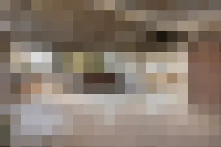 Roland 10 Castenray thumbnail 45