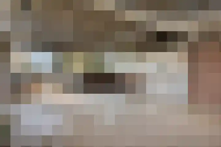 Roland 10 Castenray thumbnail 46