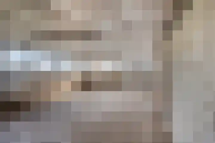 Roland 10 Castenray thumbnail 48
