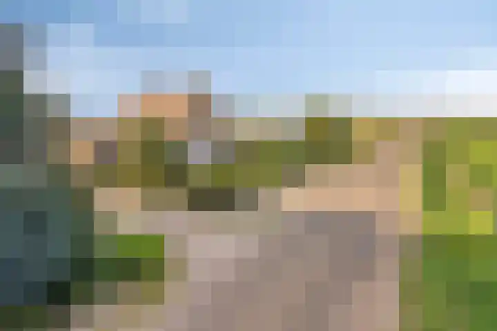 Roland 10 Castenray thumbnail 5