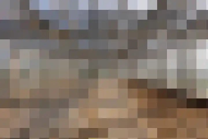 Roland 10 Castenray thumbnail 51