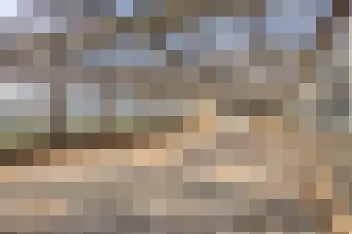 Roland 10 Castenray thumbnail 52