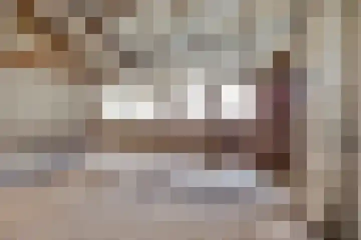 Roland 10 Castenray thumbnail 55