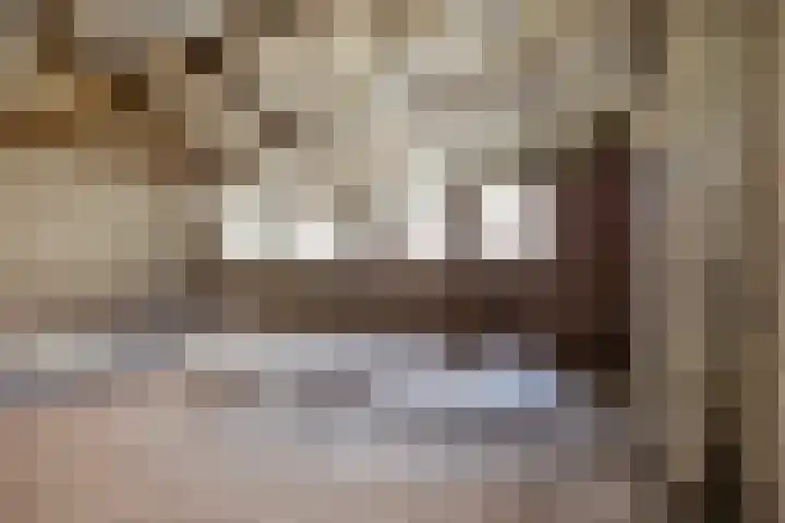 Roland 10 Castenray thumbnail 56