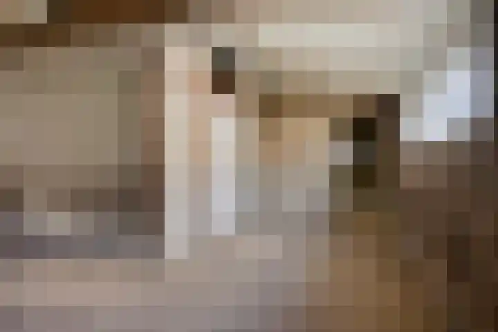 Roland 10 Castenray thumbnail 58