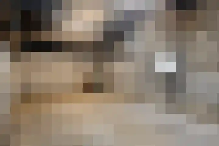 Roland 10 Castenray thumbnail 60