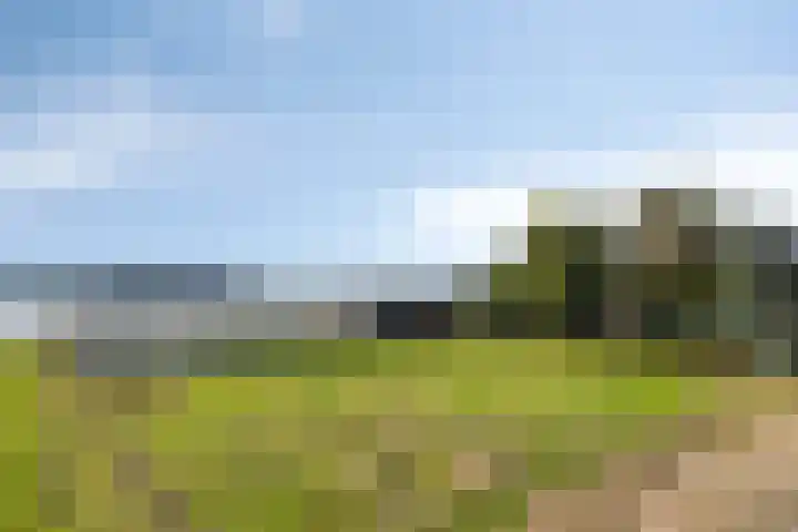 Roland 10 Castenray thumbnail 62