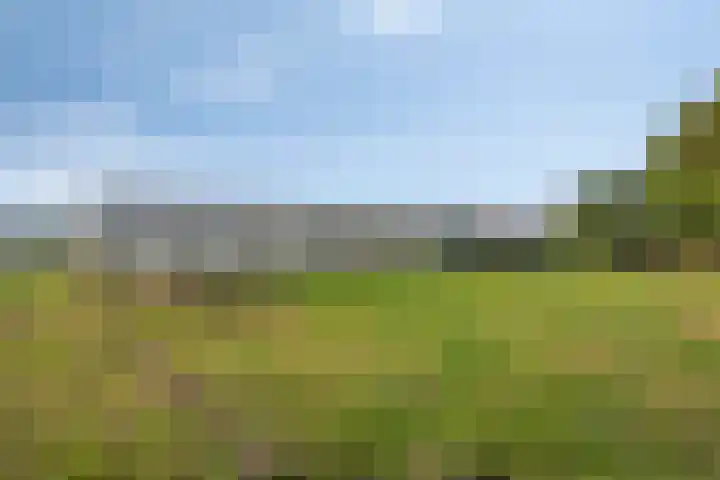 Roland 10 Castenray thumbnail 63