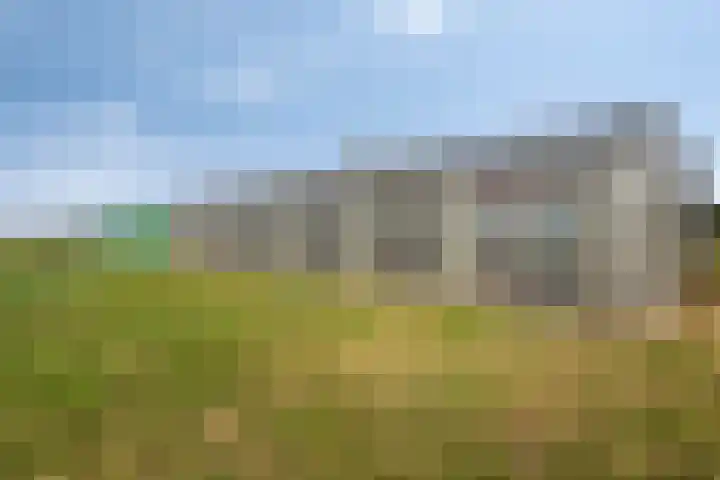 Roland 10 Castenray thumbnail 64