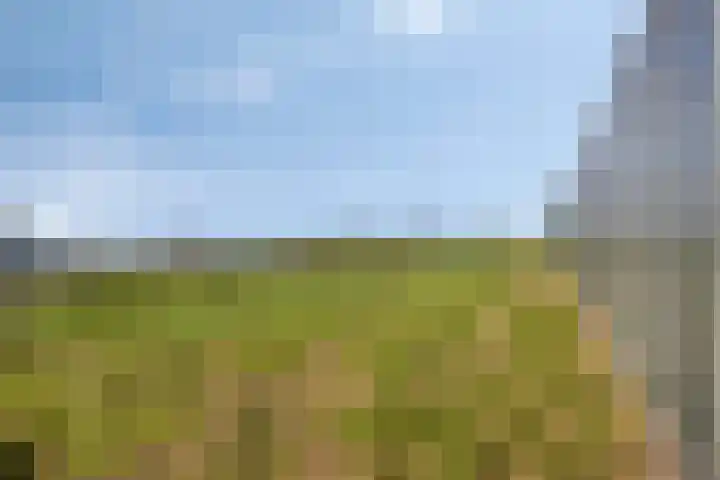 Roland 10 Castenray thumbnail 65