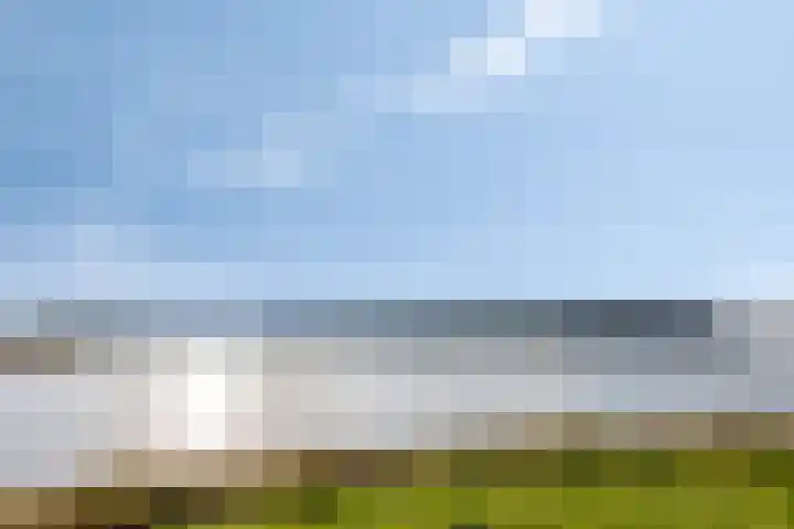 Roland 10 Castenray thumbnail 66