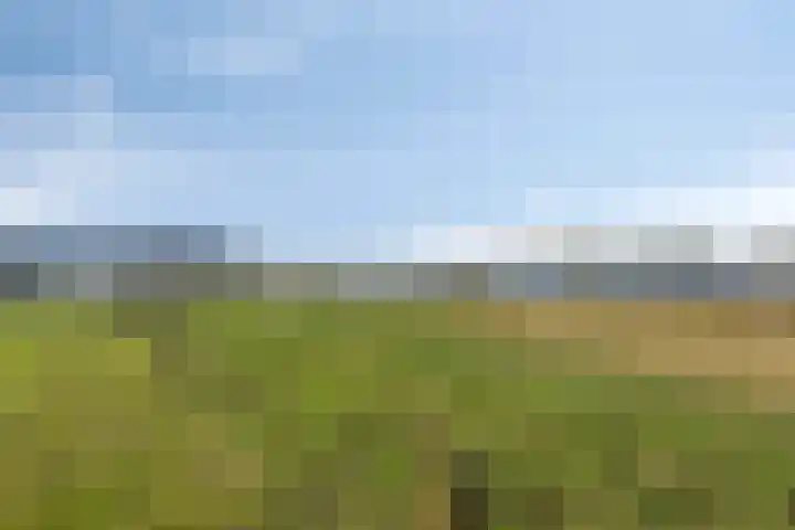 Roland 10 Castenray thumbnail 68