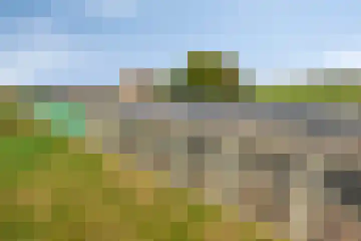 Roland 10 Castenray thumbnail 69