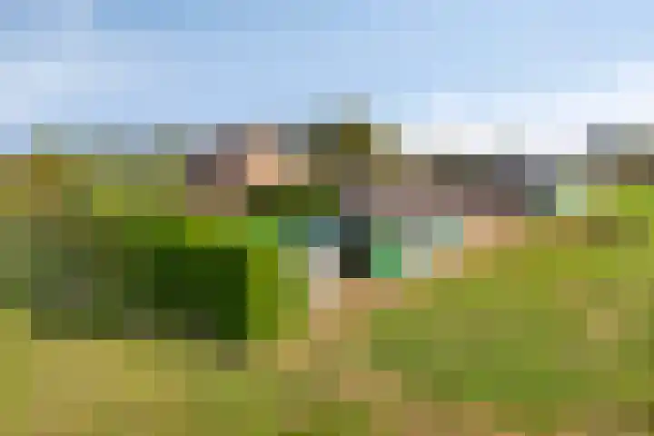 Roland 10 Castenray thumbnail 70