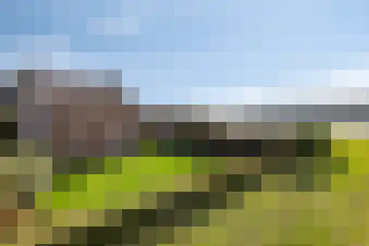 Roland 10 Castenray thumbnail 71
