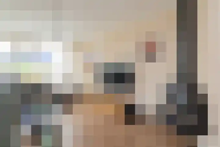 Roland Holstheem 38 Hillegom thumbnail 10