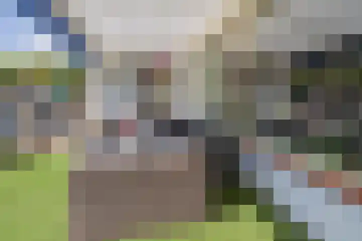 Roland Holstheem 38 Hillegom thumbnail 13