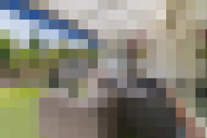 Roland Holstheem 38 Hillegom thumbnail 14