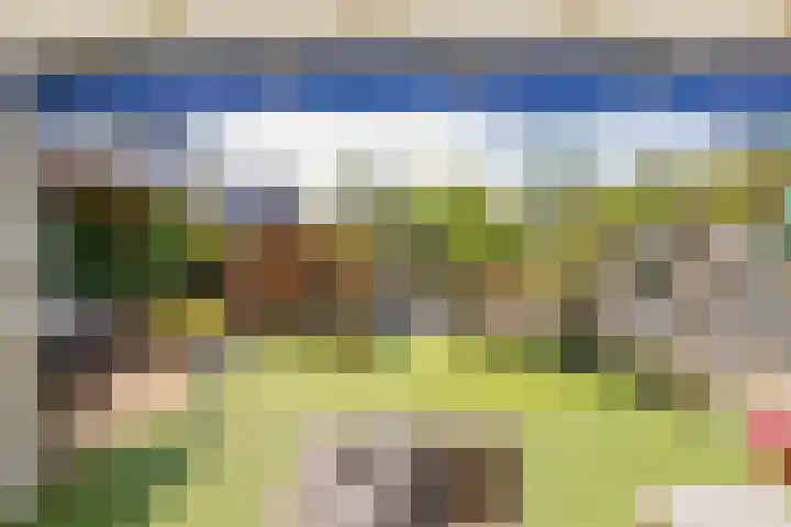 Roland Holstheem 38 Hillegom thumbnail 15