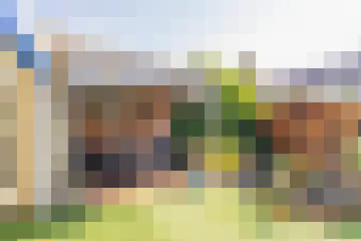 Roland Holstheem 38 Hillegom thumbnail 16