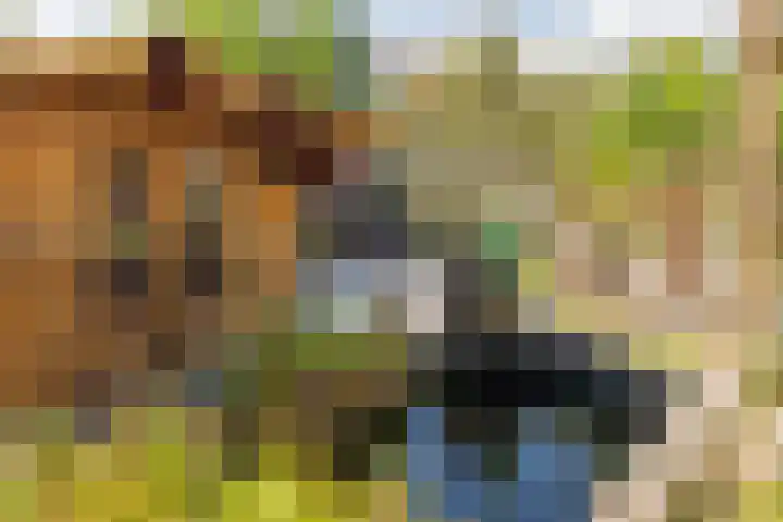 Roland Holstheem 38 Hillegom thumbnail 18