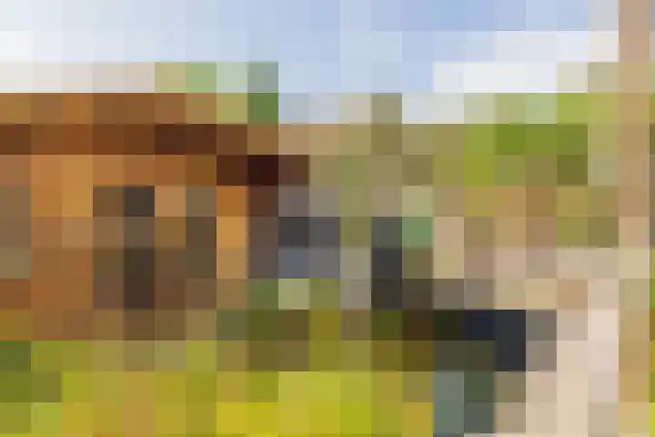 Roland Holstheem 38 Hillegom thumbnail 19