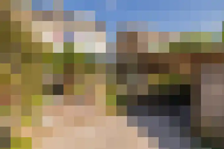 Roland Holstheem 38 Hillegom thumbnail 20