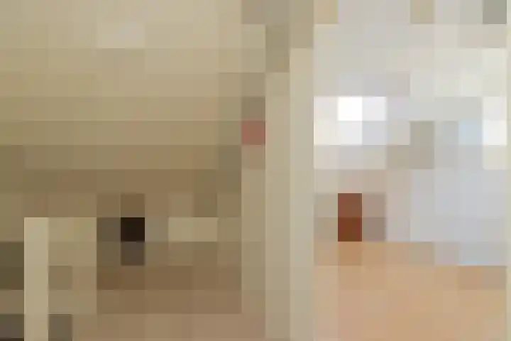 Roland Holstheem 38 Hillegom thumbnail 47