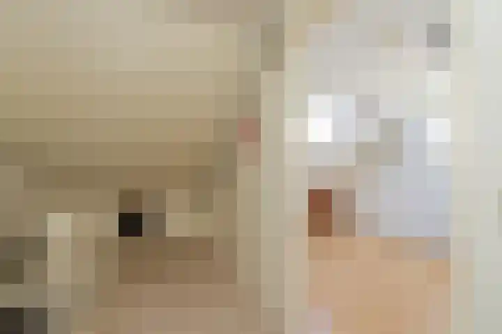 Roland Holstheem 38 Hillegom thumbnail 48