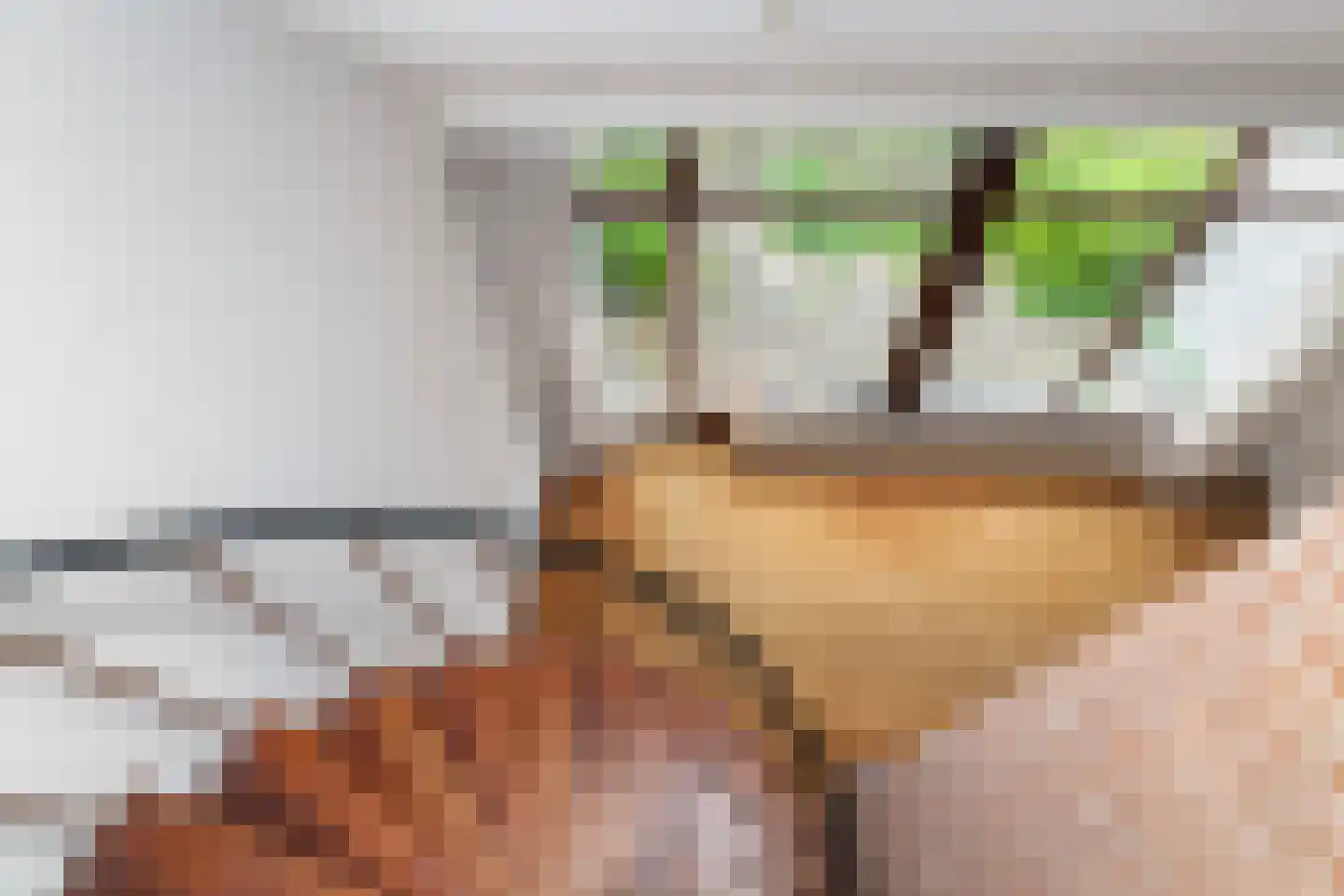 Roland Holstheem 6 Hillegom thumbnail 13