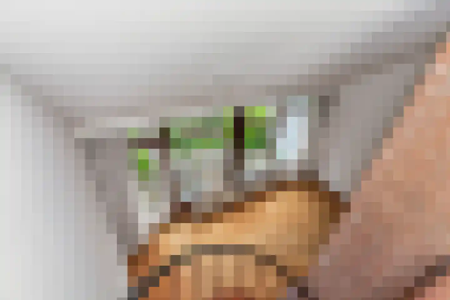 Roland Holstheem 6 Hillegom thumbnail 14