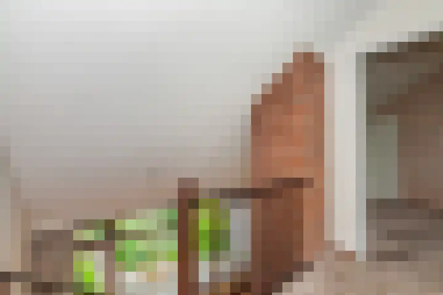 Roland Holstheem 6 Hillegom thumbnail 15