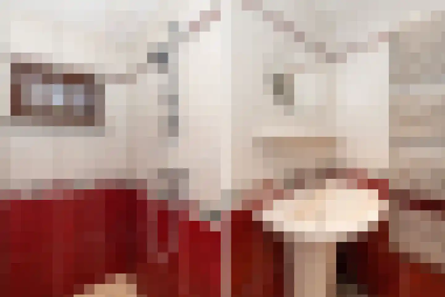 Roland Holstheem 6 Hillegom thumbnail 6