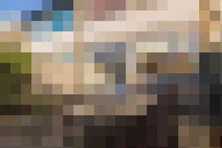 Roland Holstheem 74 Hillegom thumbnail 12