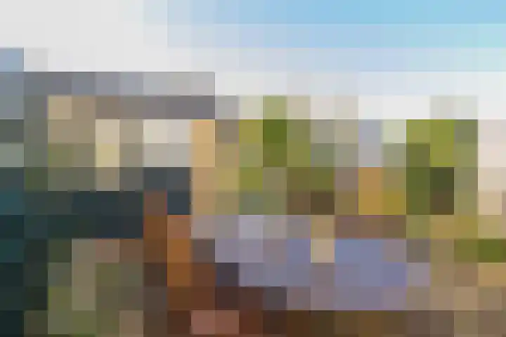 Roland Holstheem 74 Hillegom thumbnail 13