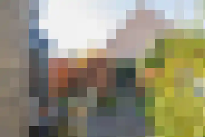 Roland Holstheem 74 Hillegom thumbnail 14