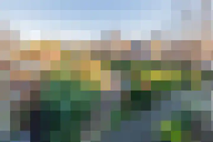 Roland Holstheem 74 Hillegom thumbnail 24