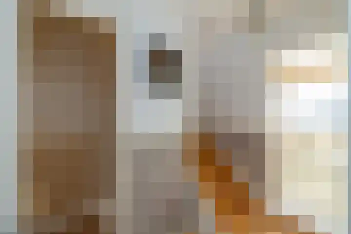 Roland Holstheem 74 Hillegom thumbnail 25