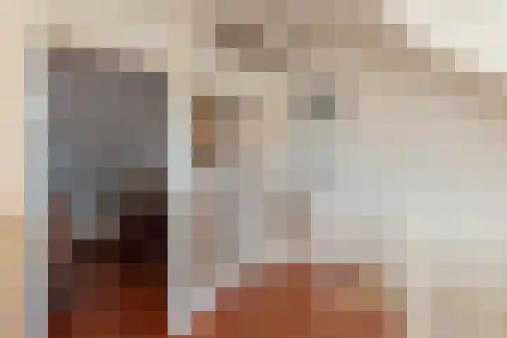 Roland Holstheem 74 Hillegom thumbnail 35