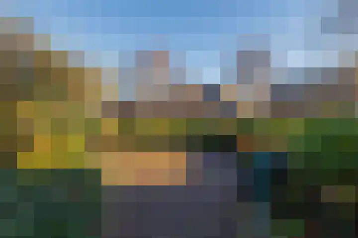 Roland Holstheem 74 Hillegom thumbnail 38