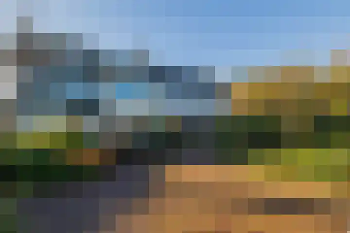 Roland Holstheem 74 Hillegom thumbnail 39