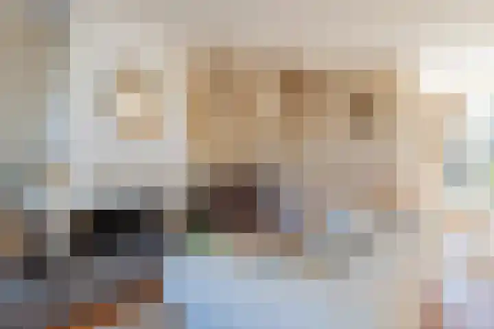 Roland Holstheem 74 Hillegom thumbnail 7