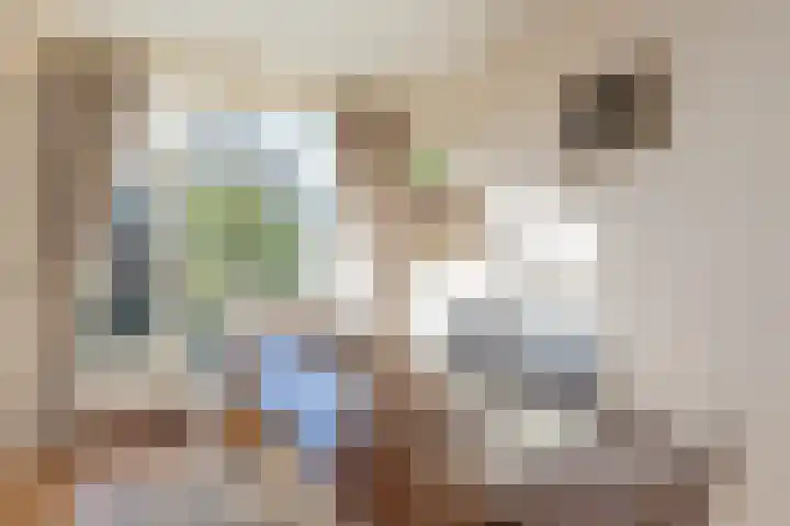 Roland Holstheem 74 Hillegom thumbnail 9