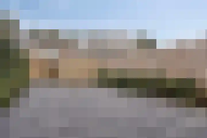 Roland Holsthof 21 Tilburg thumbnail 16