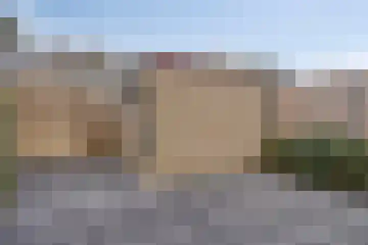 Roland Holsthof 21 Tilburg thumbnail 17
