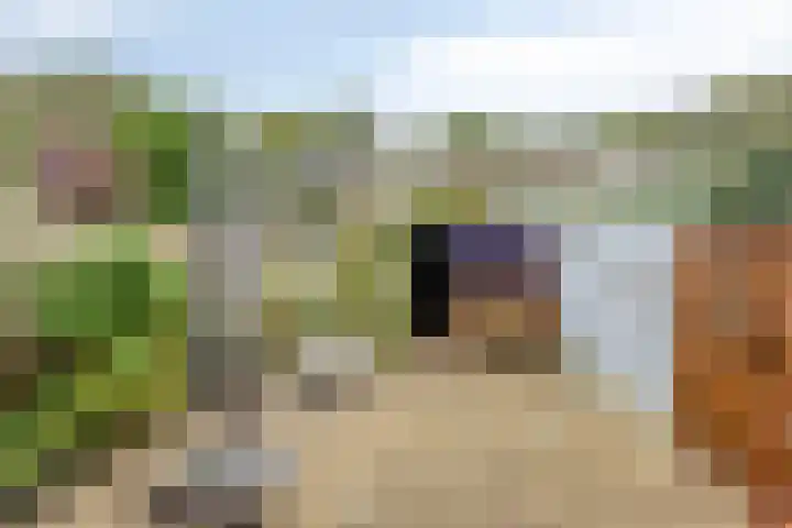 Roland Holsthof 22 Tilburg thumbnail 28