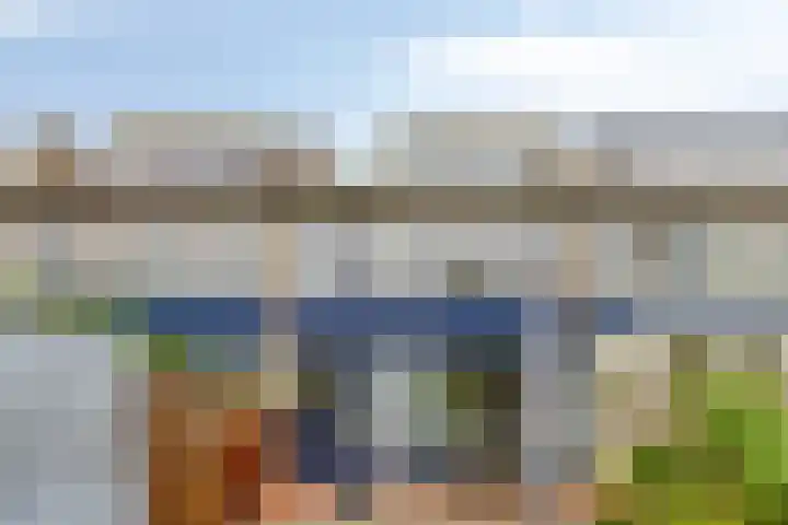 Roland Holsthof 22 Tilburg thumbnail 29