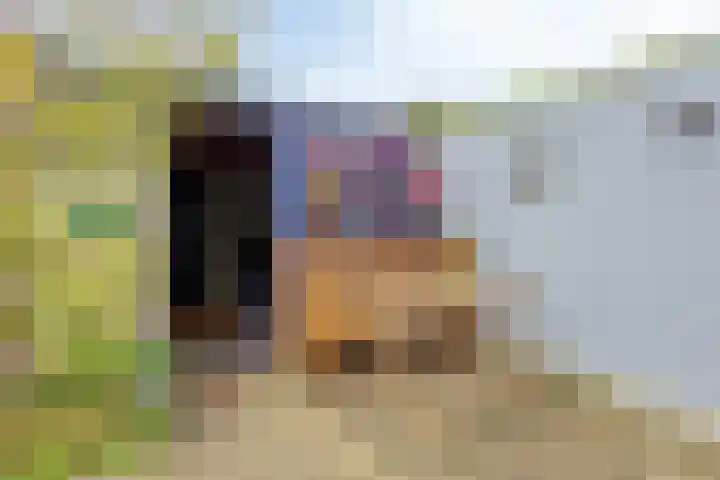 Roland Holsthof 22 Tilburg thumbnail 31