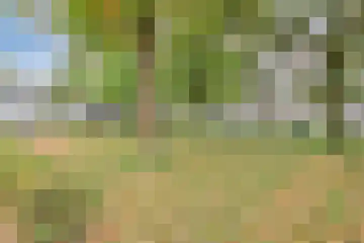 Roland Holsthof 22 Tilburg thumbnail 33