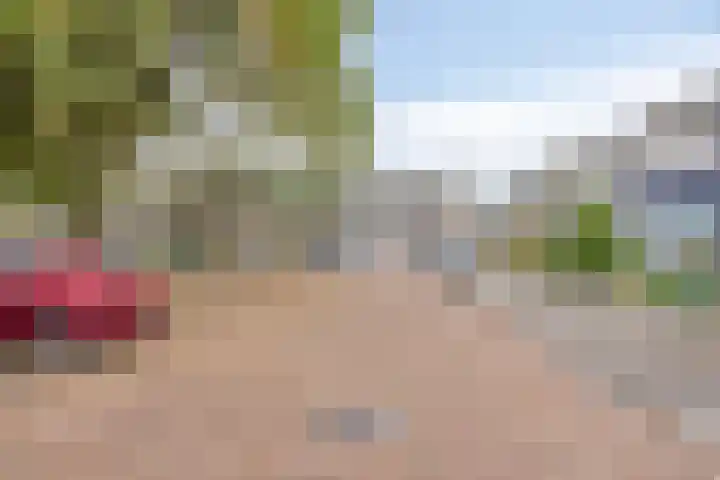 Roland Holsthof 22 Tilburg thumbnail 34